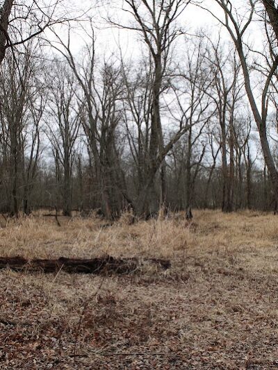 Great Piece Meadows - Fairfield, NJ