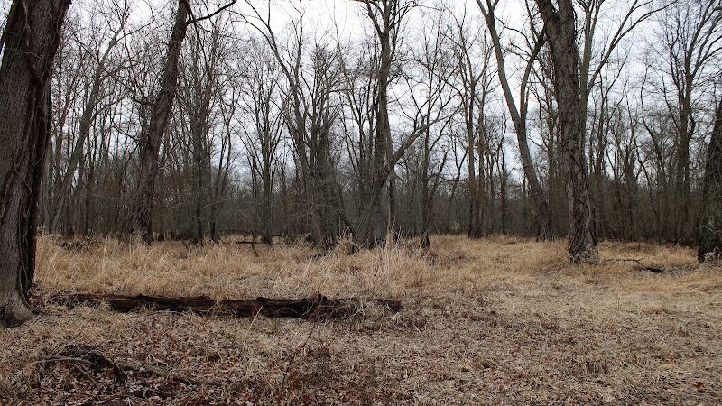 Great Piece Meadows - Fairfield, NJ