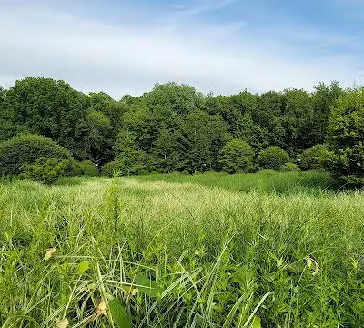 Mita Park - Fairfield, NJ