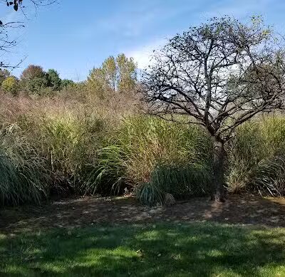 Mita Park - Fairfield, NJ