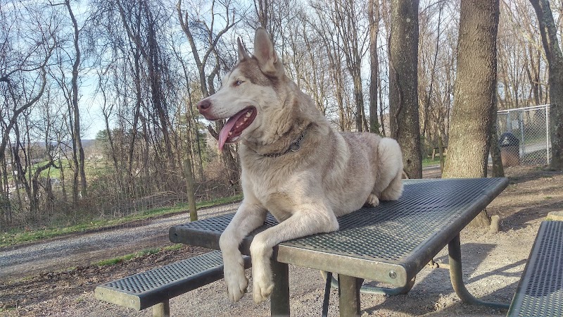 FIDO's Backyard - Fairmont, WV