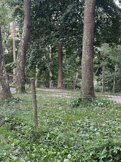 FIDO's Backyard - Fairmont, WV