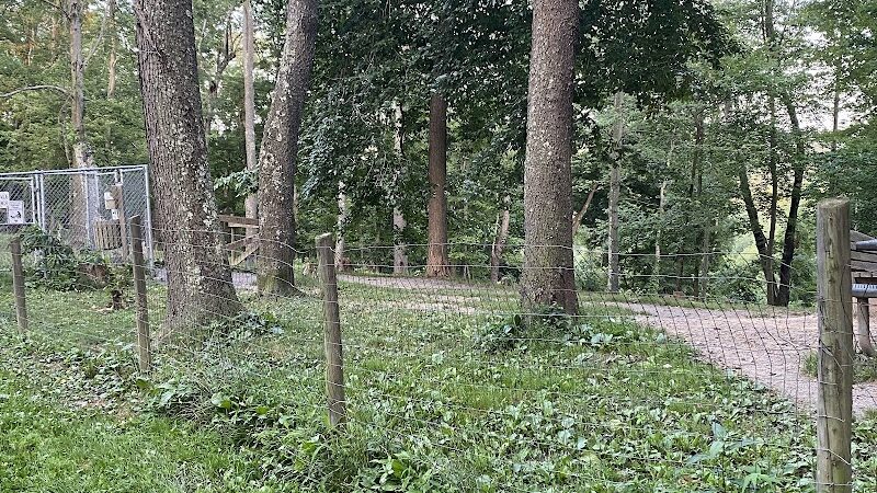 FIDO's Backyard - Fairmont, WV