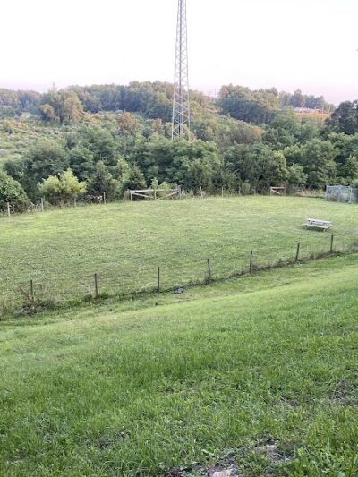 FIDO's Backyard - Fairmont, WV