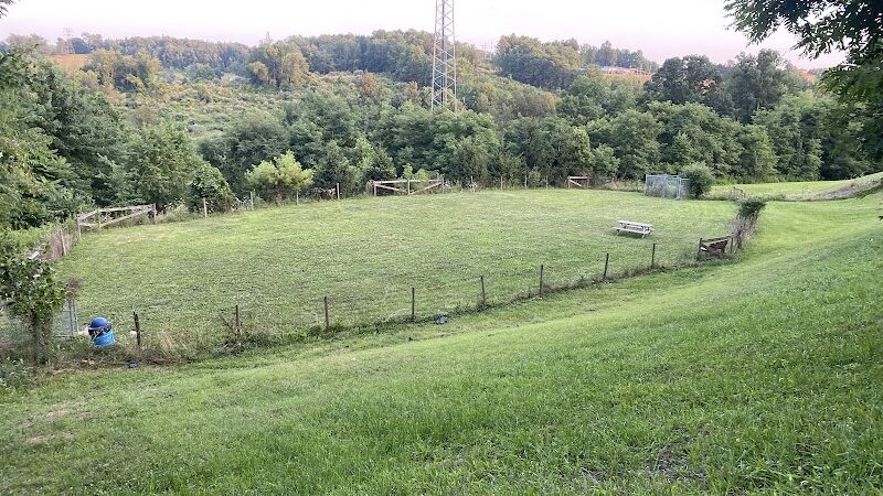 FIDO's Backyard - Fairmont, WV