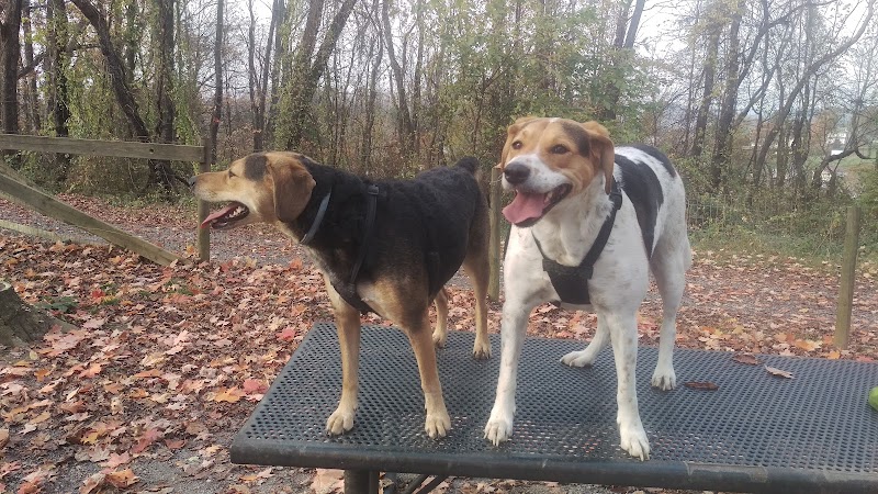 FIDO's Backyard - Fairmont, WV