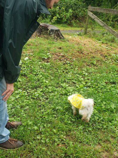 FIDO's Backyard - Fairmont, WV