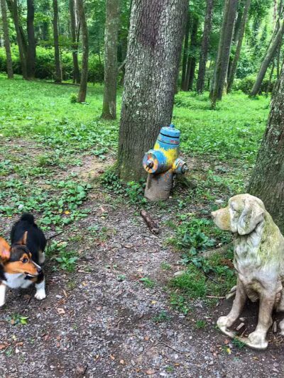 FIDO's Backyard - Fairmont, WV