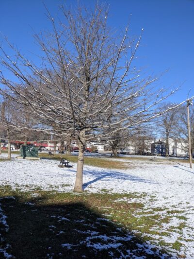Kelly Park - Fall River, MA