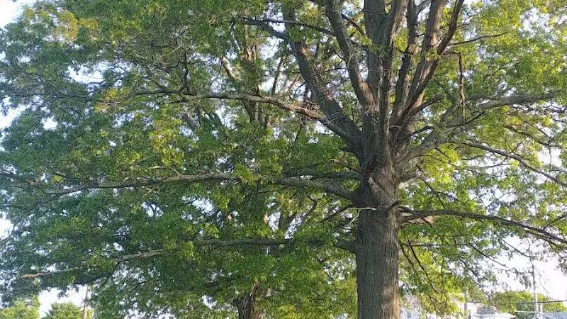 Kelly Park - Fall River, MA