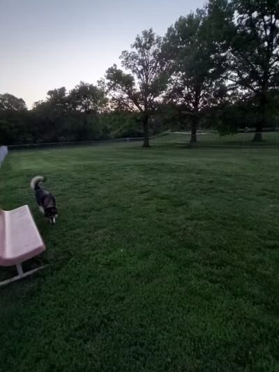 Falls City Dog Park - Falls City, NE