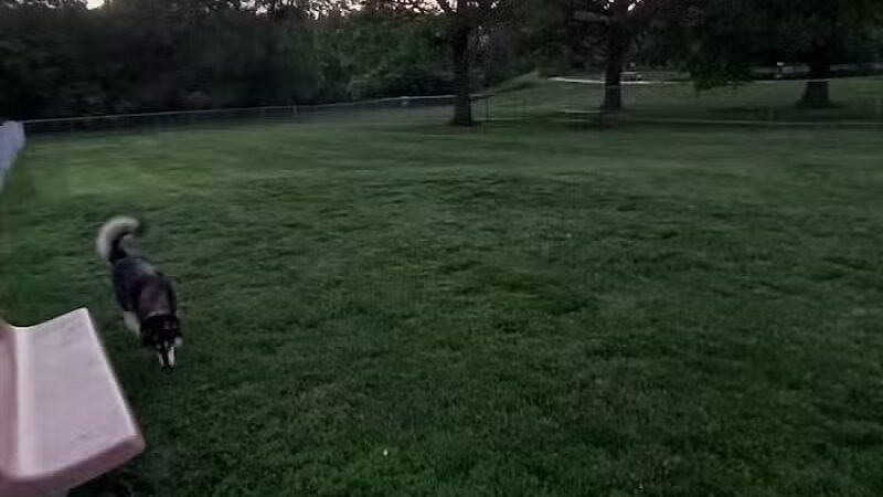 Falls City Dog Park - Falls City, NE