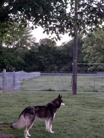 Falls City Dog Park - Falls City, NE