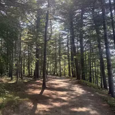 Mackworth Island State Park - Falmouth, ME