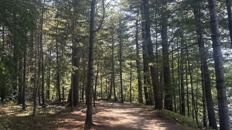 Mackworth Island State Park - Falmouth, ME