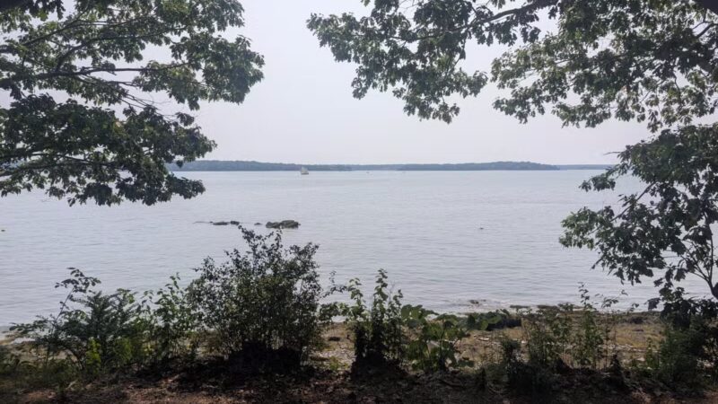 Mackworth Island State Park - Falmouth, ME