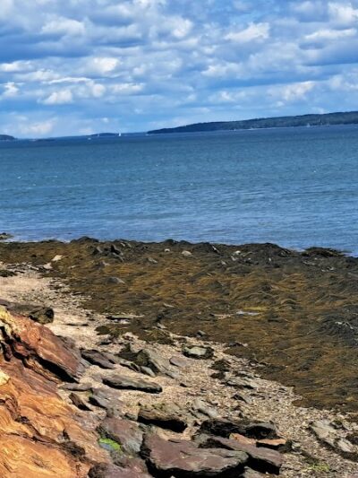 Mackworth Island State Park - Falmouth, ME