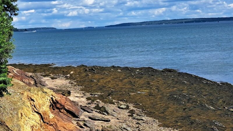 Mackworth Island State Park - Falmouth, ME