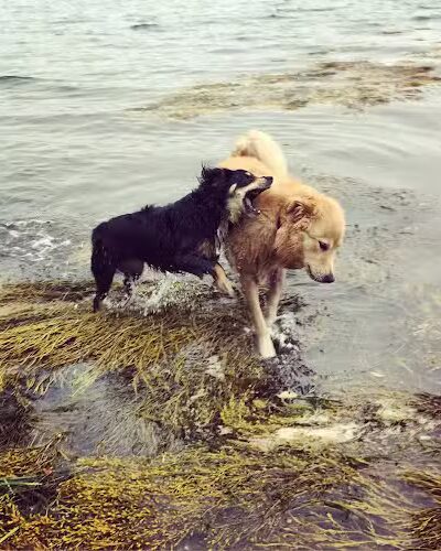 Mackworth Island State Park - Falmouth, ME
