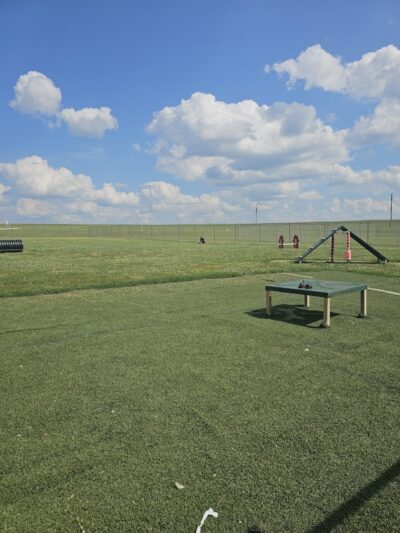 Dog Park - Farmington, MO