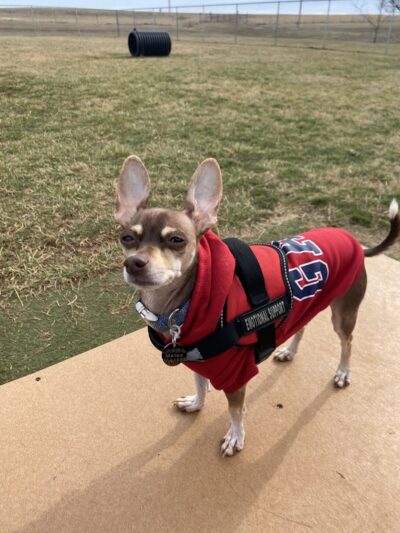 Dog Park - Farmington, MO