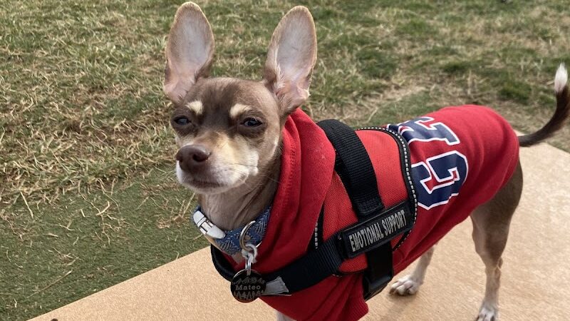 Dog Park - Farmington, MO