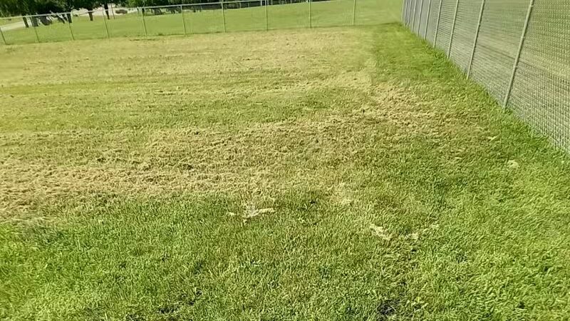 Dog Park - Farmington, MO