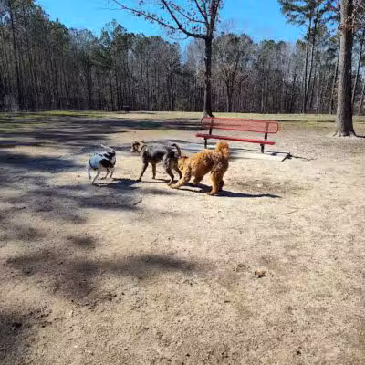 Bailey Lake Dog Park - Fayetteville, NC