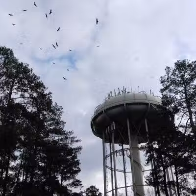 City Park - Fayetteville, NC