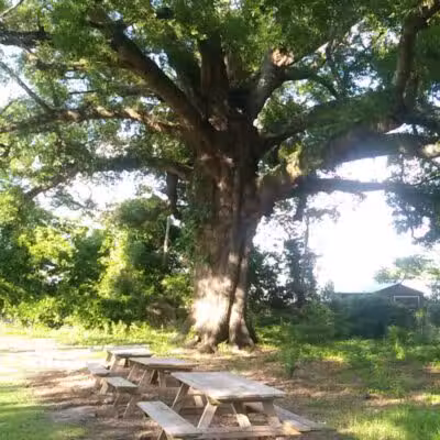 Hedgepeth Community Park - Fayetteville, NC