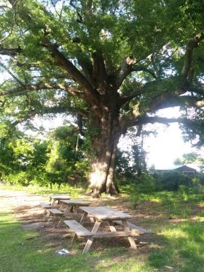 Hedgepeth Community Park - Fayetteville, NC