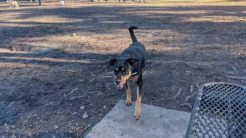 Riverside Dog Park - Fayetteville, NC