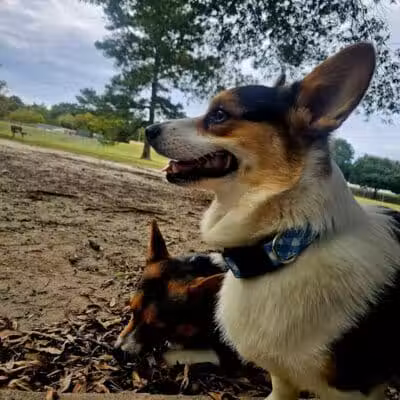 Riverside Dog Park - Fayetteville, NC