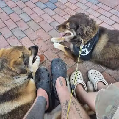 Riverside Dog Park - Fayetteville, NC