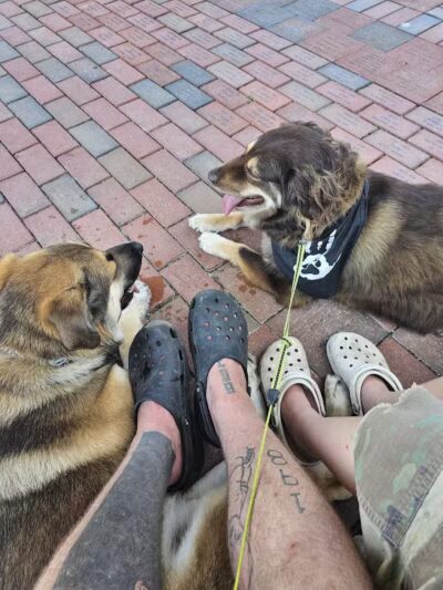 Riverside Dog Park - Fayetteville, NC