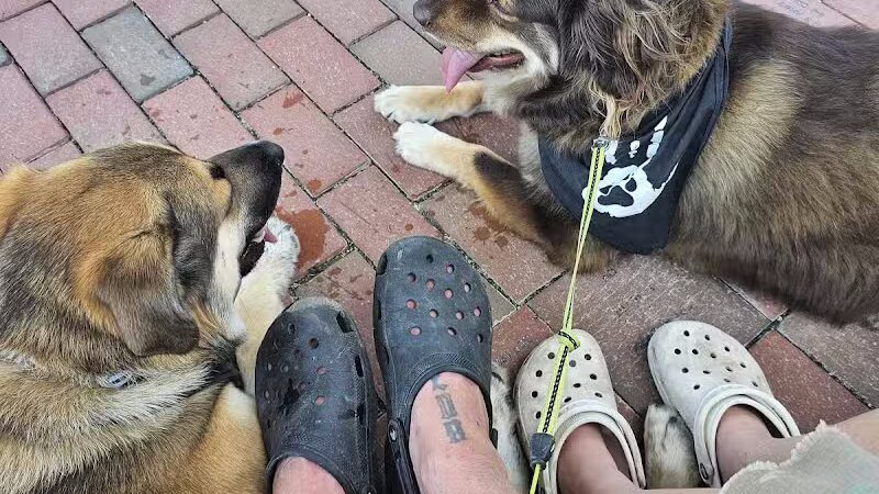 Riverside Dog Park - Fayetteville, NC