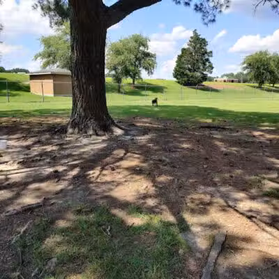 Riverside Dog Park - Fayetteville, NC