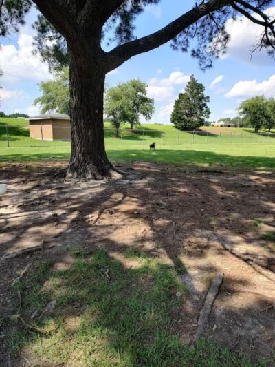 Riverside Dog Park - Fayetteville, NC