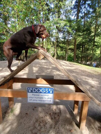 French Lake Off-Leash Dog Park