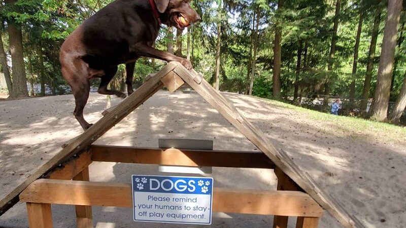 French Lake Off-Leash Dog Park