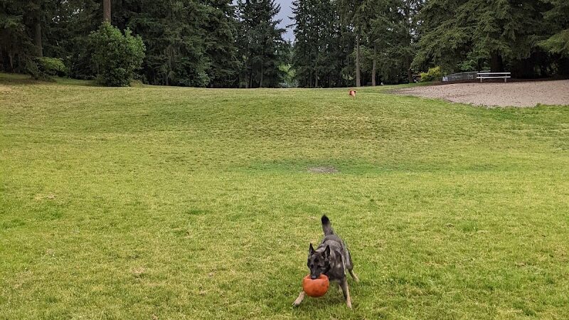 French Lake Off-Leash Dog Park