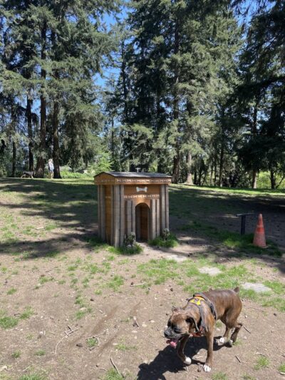 French Lake Off-Leash Dog Park