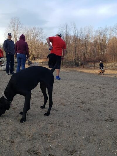 Fitchburg Dog Park - Fitchburg, MA