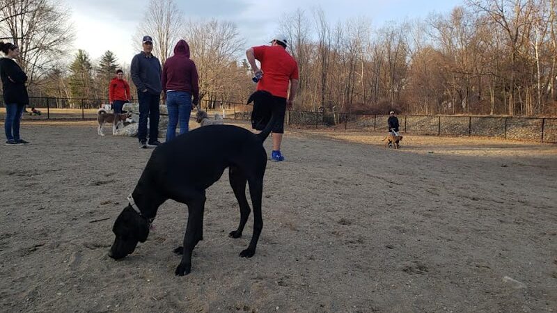 Fitchburg Dog Park - Fitchburg, MA
