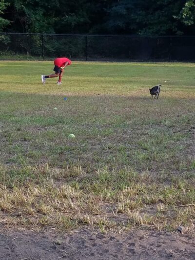 Fitchburg Dog Park - Fitchburg, MA