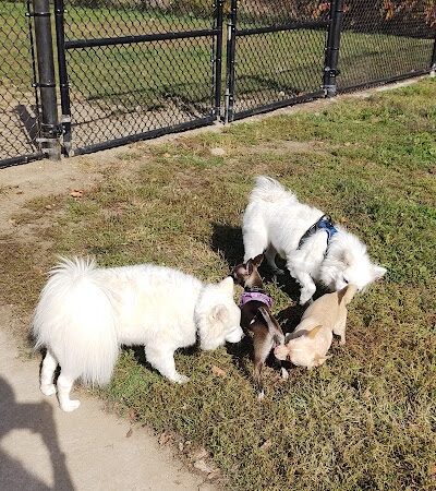 Fitchburg Dog Park - Fitchburg, MA