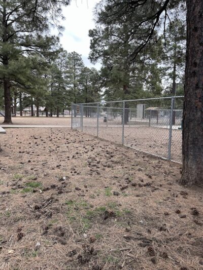 BarkMaster off-leash Dog Park - Flagstaff, AZ