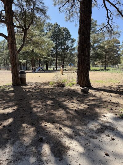 BarkMaster off-leash Dog Park - Flagstaff, AZ