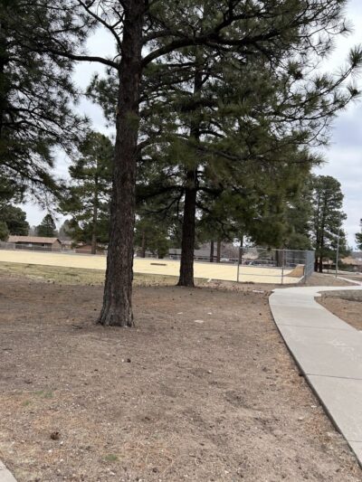 BarkMaster off-leash Dog Park - Flagstaff, AZ