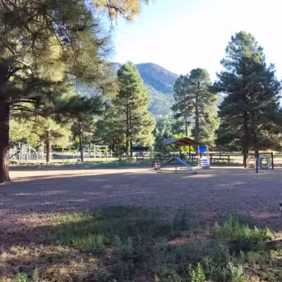 BarkMaster off-leash Dog Park - Flagstaff, AZ